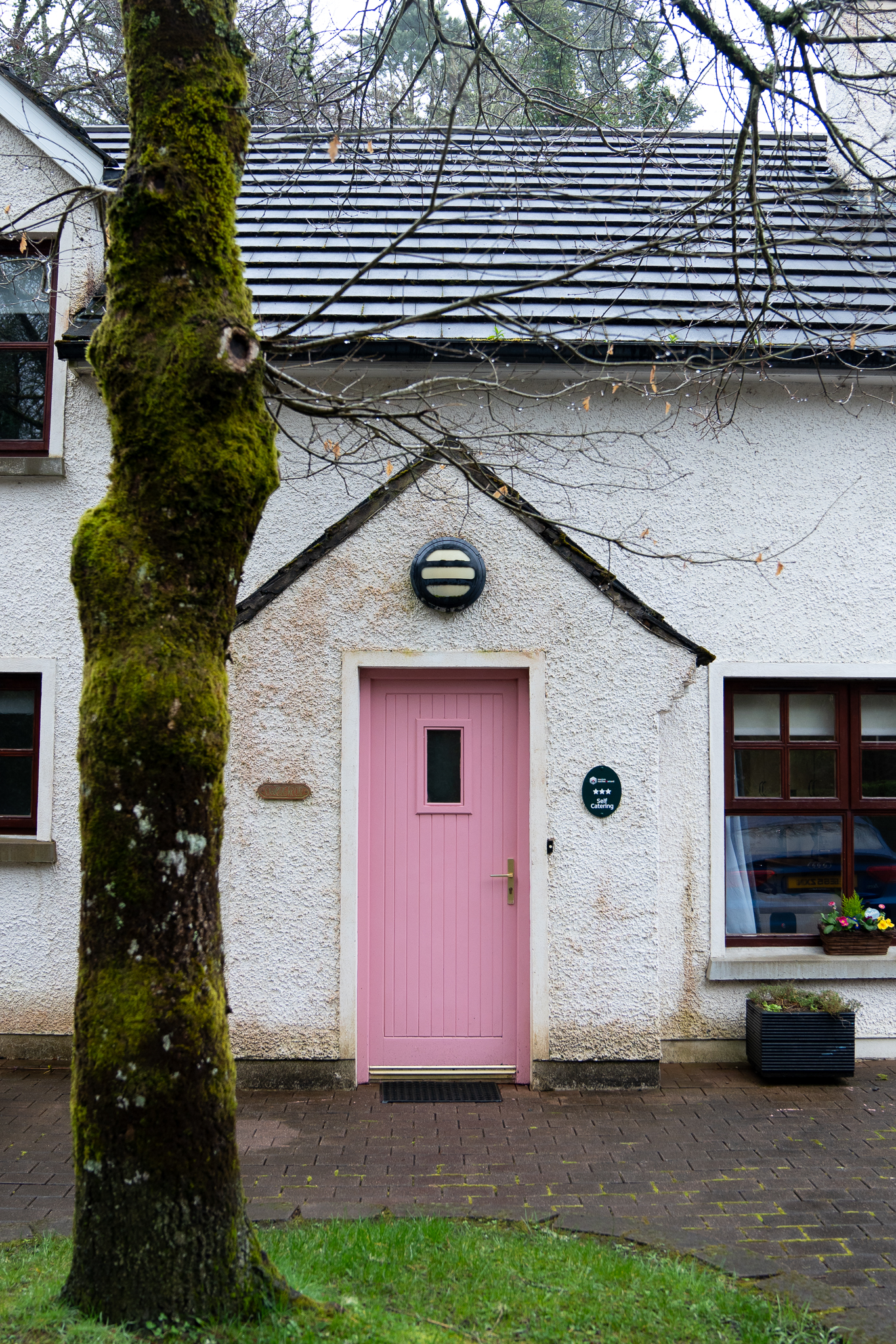 Cottages in the Winter